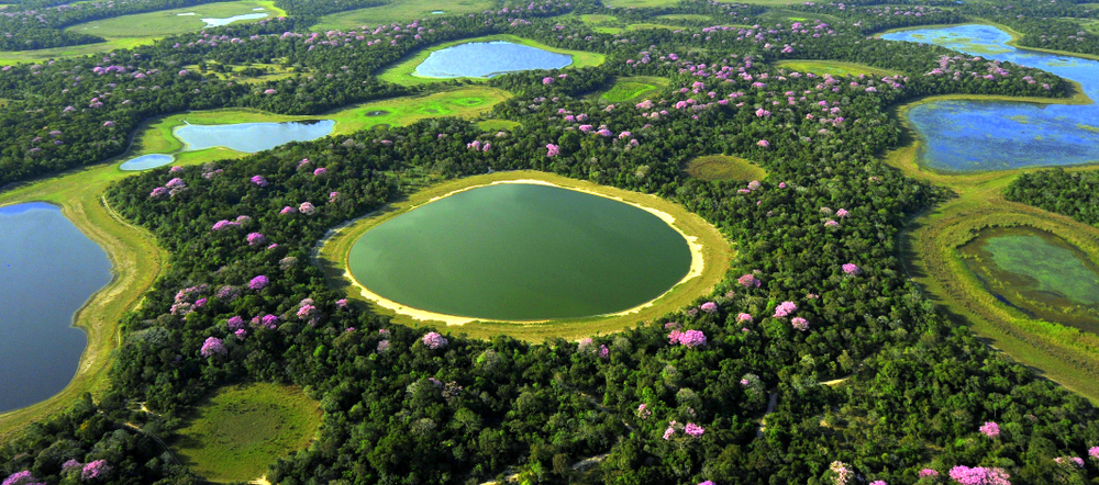 Aerial,views,of,wild,areas