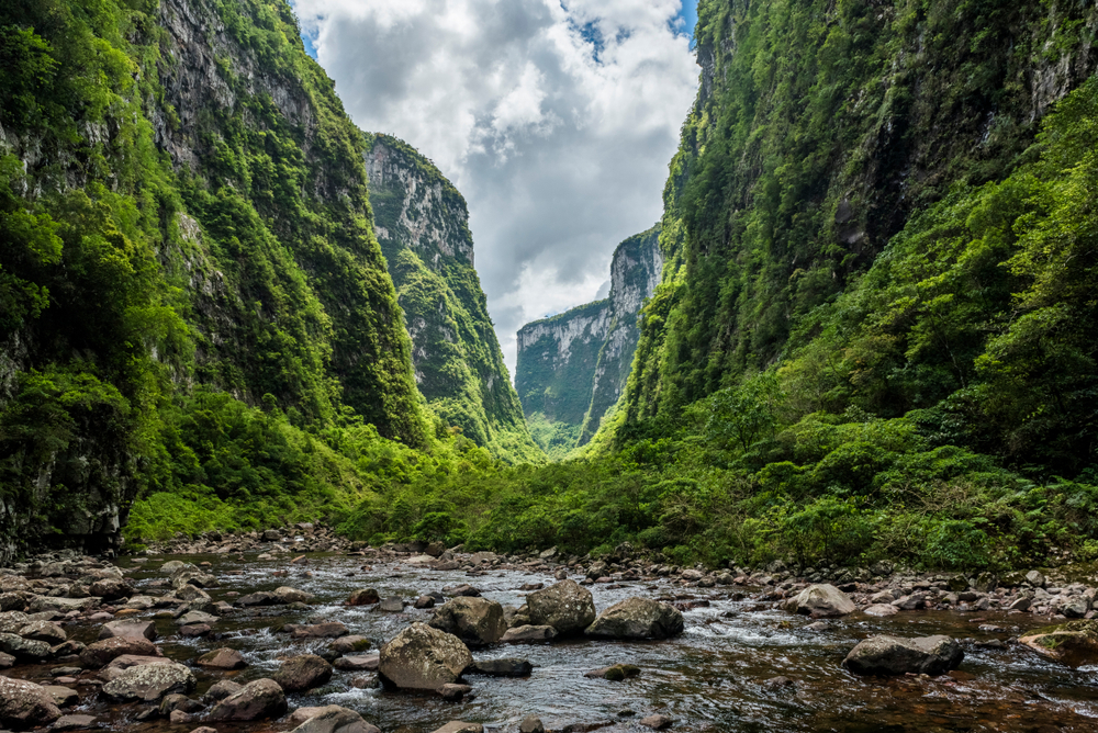 Brazil Macro Brief: May 2025