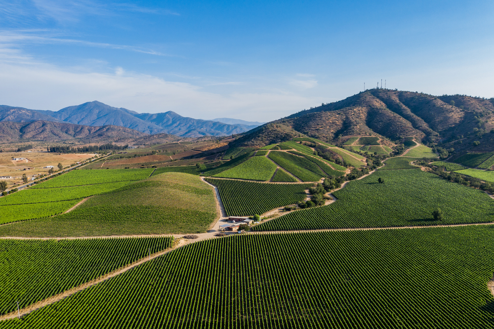 Chile Macro Brief: June 2025