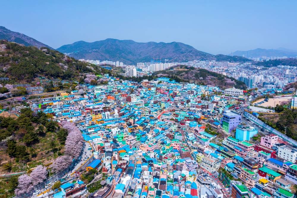 South Korea Macro Brief: July 2025