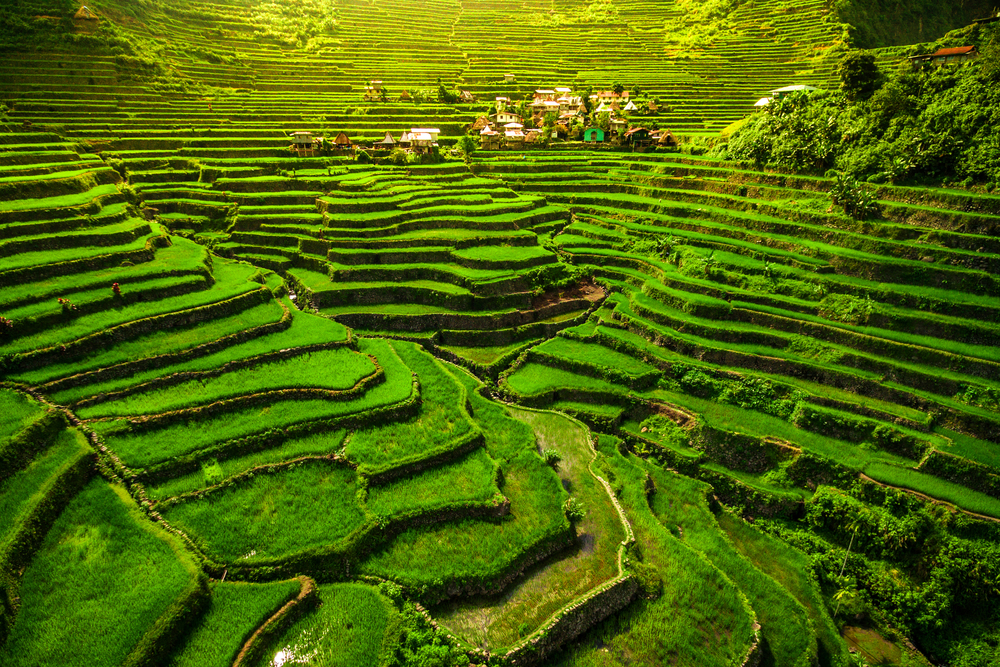 Philippines Macro Brief: April 2025