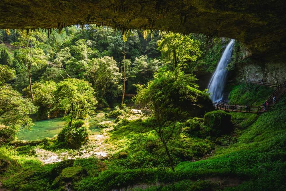 Taiwan Macro Brief: July 2025