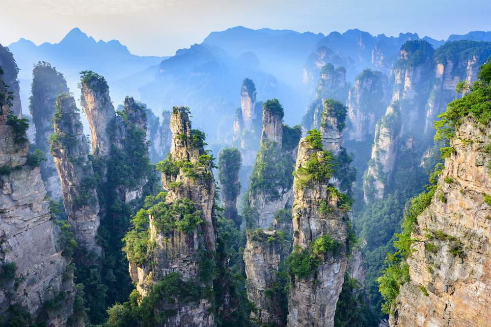 China Macro Brief: July 2025